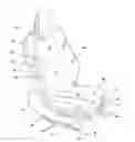 Fig. 01 - Ambient functional lighting of a seat