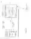Fig. 08 - Tractor-trailer connections for image capture data