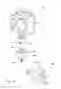 Fig. 17 - Mounting device for one or more accessories and method of using same