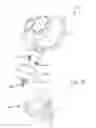 Fig. 18 - Mounting device for one or more accessories and method of using same