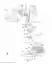 Fig. 02 - Wiring unit for automatic transmission