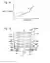 Fig. 17 - Rack guide device and steering apparatus including same