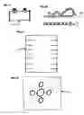 Fig. 08 - Protective detachable cabin for electric scooter