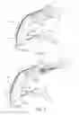Fig. 03 - Bicycle control device
