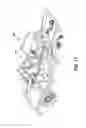 Fig. 18 - Vehicle and vehicle components