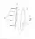 Fig. 08 - MOORING DEVICE