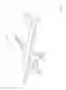 Fig. 02 - Methods and apparatus for supporting engines and nacelles relative to aircraft wings