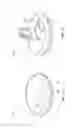 Fig. 06 - Airtight container
