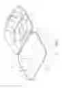 Fig. 03 - CONTAINER