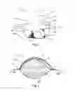 Fig. 02 - CONTAINER FOR FRUIT AND VEGETABLE PRODUCTS AND METHOD FOR MAKING THE CONTAINER AND FOR PACKING SUCH PRODUCTS