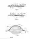 Fig. 04 - CONTAINER FOR FRUIT AND VEGETABLE PRODUCTS AND METHOD FOR MAKING THE CONTAINER AND FOR PACKING SUCH PRODUCTS