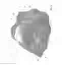 Fig. 06 - CONTAINER FOR FRUIT AND VEGETABLE PRODUCTS AND METHOD FOR MAKING THE CONTAINER AND FOR PACKING SUCH PRODUCTS