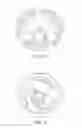 Fig. 06 - Food preparation capsule