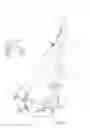 Fig. 06 - Automatic erecting of a crane