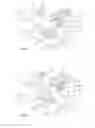 Fig. 06 - Beverage dispensing arrangement