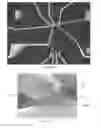 Fig. 22 - Electromechanical devices and methods for fabrication of the same