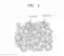 Fig. 04 - Graphene structure and method of manufacturing the same