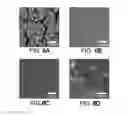 Fig. 07 - TECHNIQUES FOR FABRICATING DIAMOND NANOSTRUCTURES