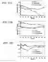 Fig. 09 - Zero valent iron systems and methods for treatment of contaminated wastewater