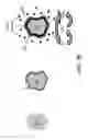 Fig. 16 - Zero valent iron systems and methods for treatment of contaminated wastewater