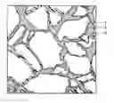 Fig. 01 - Method for manufacturing cubic boron nitride sintered body, and cubic boron nitride sintered body