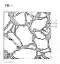 Fig. 02 - Method for manufacturing cubic boron nitride sintered body, and cubic boron nitride sintered body