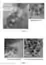 Fig. 03 - Methanation catalyst