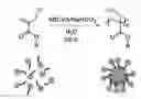 Fig. 01 - Alkyl alpha-hydroxymethyl acrylates as reactive surfactants in emulsion polymerization