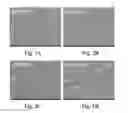 Fig. 03 - Alkyl alpha-hydroxymethyl acrylates as reactive surfactants in emulsion polymerization