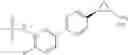 Fig. 119 - Cyclopropylamine derivatives useful as LSD1 inhibitors