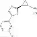 Fig. 142 - Cyclopropylamine derivatives useful as LSD1 inhibitors