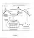 Fig. 02 - Cryopyrin inhibitors for preventing and treating inflammation