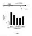 Fig. 09 - Cryopyrin inhibitors for preventing and treating inflammation
