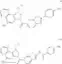 Fig. 329 - CC-1065 analogs and their conjugates
