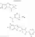 Fig. 18 - Compounds useful as antibiotic tolerance inhibitors