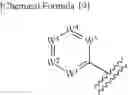 Fig. 21 - NOVEL HETEROCYCLIC DERIVATIVE AND PHARMACEUTICAL COMPOSITION COMPRISING THE SAME (AS AMENDED)