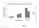Fig. 07 - Eight diasteromers of vittatalactone and methods of making, and methods of attracting acalymma vittatum