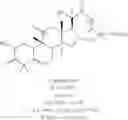 Fig. 100 - Eight diasteromers of vittatalactone and methods of making, and methods of attracting acalymma vittatum