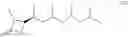 Fig. 34 - Eight diasteromers of vittatalactone and methods of making, and methods of attracting acalymma vittatum