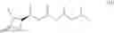 Fig. 38 - Eight diasteromers of vittatalactone and methods of making, and methods of attracting acalymma vittatum