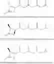 Fig. 41 - Eight diasteromers of vittatalactone and methods of making, and methods of attracting acalymma vittatum
