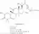 Fig. 71 - Eight diasteromers of vittatalactone and methods of making, and methods of attracting acalymma vittatum