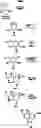 Fig. 10 - METHOD FOR MANUFACTURING NEURAMINIC ACID DERIVATIVES