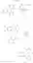 Fig. 1031 - GDF-8 inhibitors