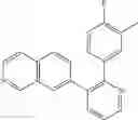 Fig. 239 - GDF-8 inhibitors