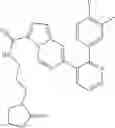 Fig. 304 - GDF-8 inhibitors