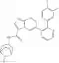 Fig. 742 - GDF-8 inhibitors