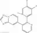 Fig. 907 - GDF-8 inhibitors
