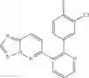 Fig. 983 - GDF-8 inhibitors