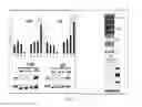 Fig. 06 - Compositions and methods for cancer detection and treatment